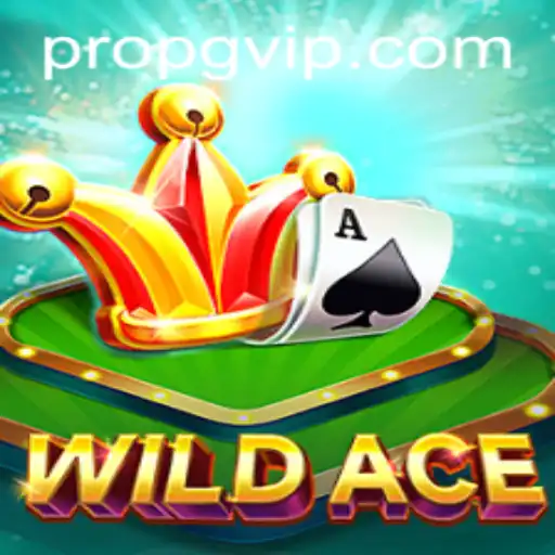 Descubra o universo inovador de WildAce